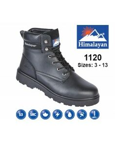 Chaussure Michigan